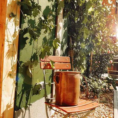 Am Scharmuetzelsee *